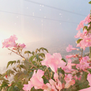 yumiiishinohara avatar