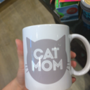 yungcatmom avatar