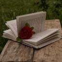 yuriankasavchuk avatar