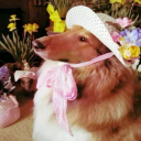 yurineprincess avatar