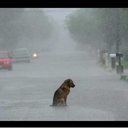 yuruyecekyolumuzvar avatar