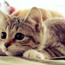 yuzmebilmeyensuperisi avatar