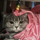 yuzumumuchuchu avatar