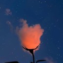 yyyyyvvvvveeeeee avatar