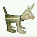 z0mbie-bab3zzz avatar