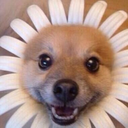 zachquintobean avatar