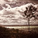 zachrose-artnudephotographer avatar