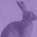 zack-is-silly avatar