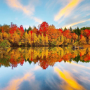 zadixmjg-blog avatar