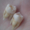 zahnaerztinsins avatar