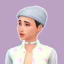 zanysims-blog-blog avatar