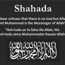 zarahsrevertlearning avatar