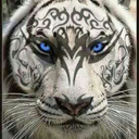 zaramire-blog avatar