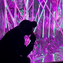 zarkinfrood8427 avatar