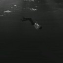 zaten-kirilmis-bir-kizim avatar