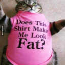 zayiflamaninzamanigeldi avatar