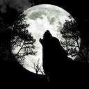 zealoustigerbouquetsblog avatar