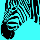 zebra-247 avatar