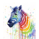 zebrashavestripes avatar