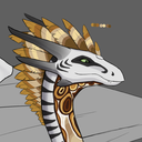 zebrasorus-blog avatar