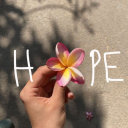 zeina-butterfly avatar