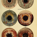 zeit-ver-schwendung avatar