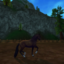 zeldadawnbrooke avatar