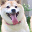 zeldatsi-blog avatar