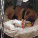 zenaprincebuffie avatar