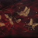 zenastix-blog avatar