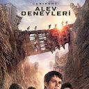 zenginnhayallerpesinde avatar