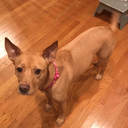 zenzenzenzenzense avatar