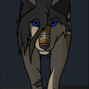 zephyra-in-the-house avatar