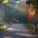 zeppeki-jo-no-hana avatar