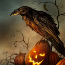 zer0fuckksgiven avatar