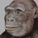 zerothefirstape avatar