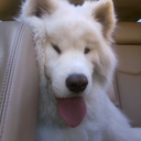 zerxiustor-blog avatar