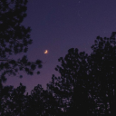 zeyneppbarutt avatar