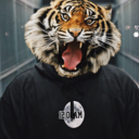 zhilaohuthepapertiger avatar