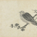 zhujingbanjiu12138 avatar