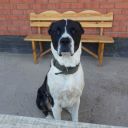 zhuldyzdyaspan avatar