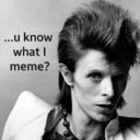 ziggystardustmemes avatar