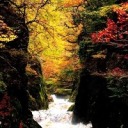 zigzagsandlouietags avatar