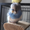 zillowrealestate avatar