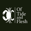 zineoftideandflesh avatar