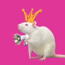 zinesforfiends avatar