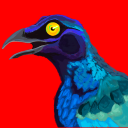 zingstarling avatar