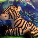 zippythezebra avatar