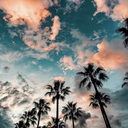 zitatefueralle avatar