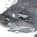 znotlouts-left-t1t avatar